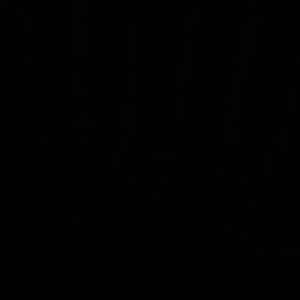 Meet your Posher, Damian